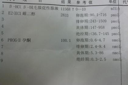 军训证明代开：大学生小张的无奈抉择